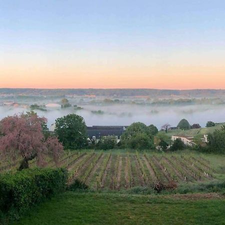 Maison Vue Panoramique Depuis Le Coteau De Chinon Exterior foto