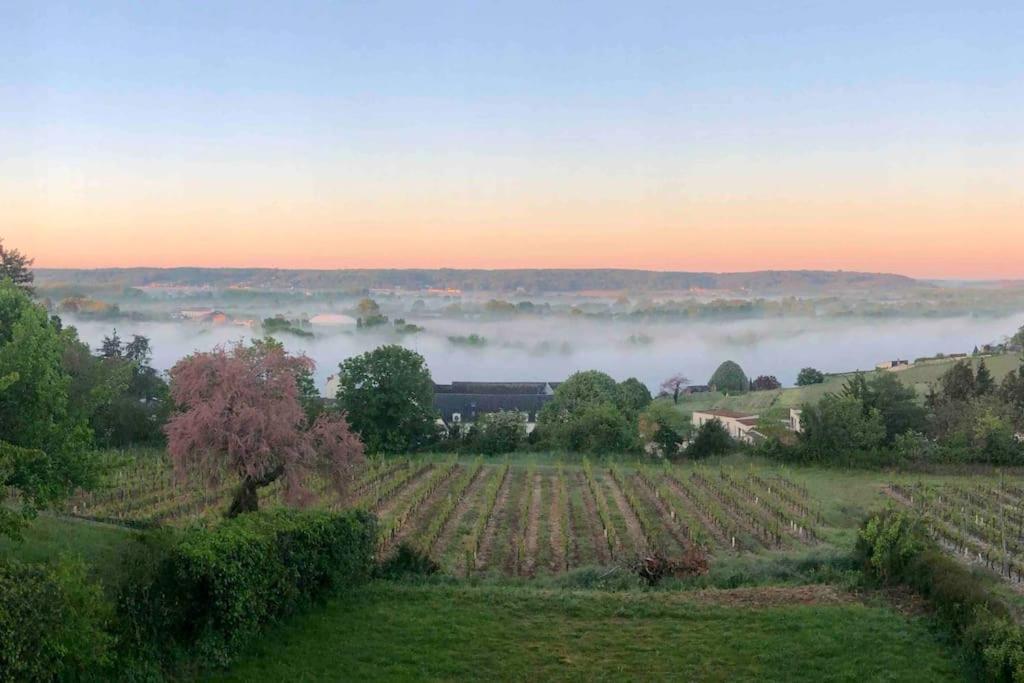 Maison Vue Panoramique Depuis Le Coteau De Chinon Exterior foto